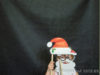 (31/125)